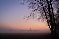 Lila Dämmerung mit Baum