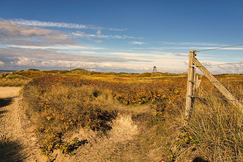 Blåvand dunes paysage au Danemark sur la mer du Nord par Martin Köbsch