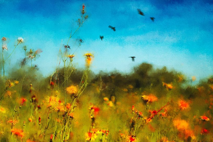 Summer flower meadow - Digital photo painting by Dirk Wüstenhagen
