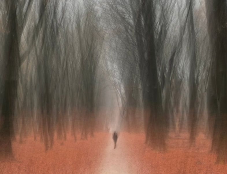 Winter walk by Mirakels Kiekje