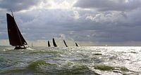 Rough IJsselmeer for Lemsteraken