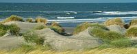Westland dunes overlooking the North Sea beach