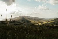 Toskanische Landschaft