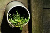 Natuurvriendelijk Riool