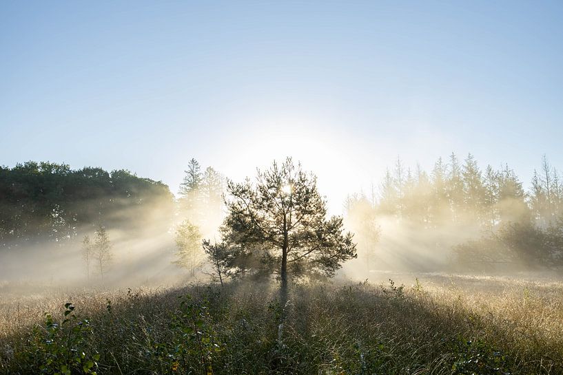 Sunrise Drouwenerveld - Drenthe, Netherlands by Wandeldingen