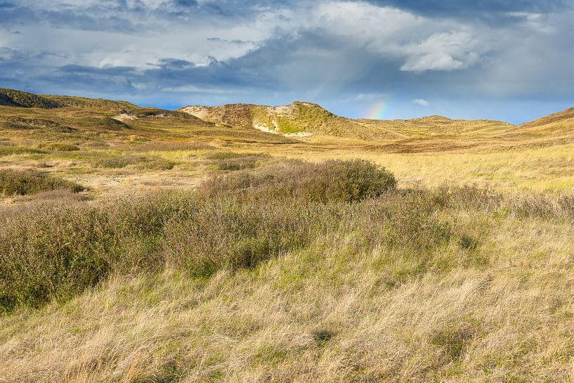 Niederländische Dünenlandschaft von eric van der eijk
