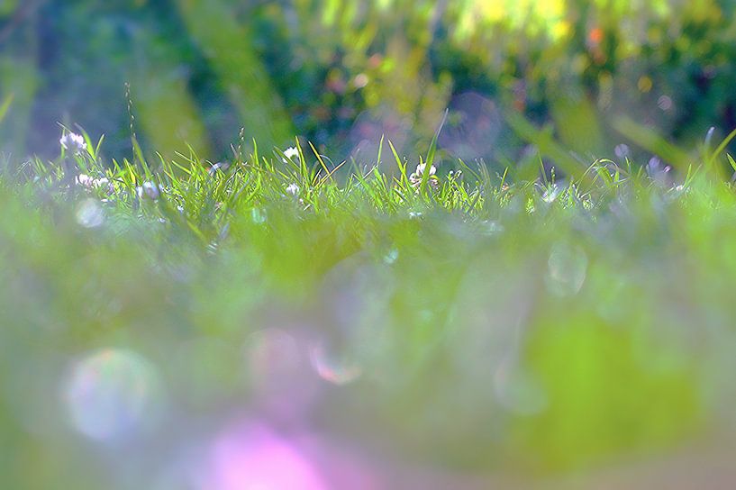 Summer groen par Marianna Pobedimova