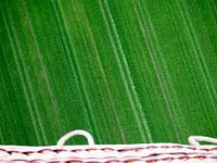 Weiland vanuit een luchtballon