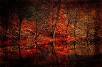 Autumn is reflected in the water.