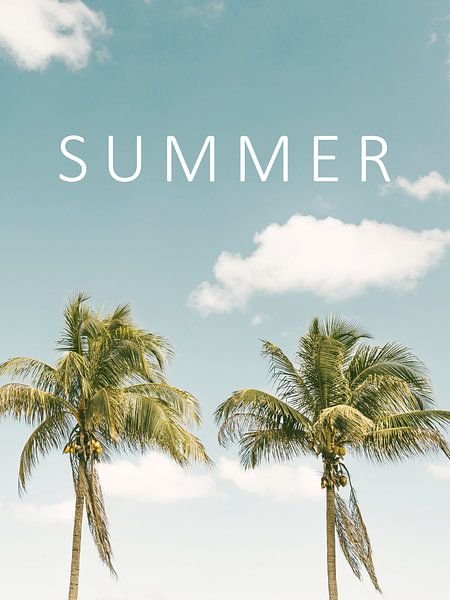 Sommer palmen von Dagmar Pels