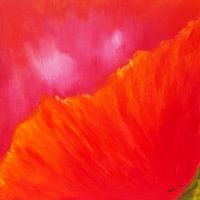 Abstrakt rot 2 - Mohnblüte