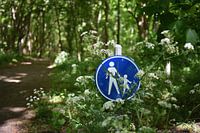 Marcher dans les dunes de Noordwijk