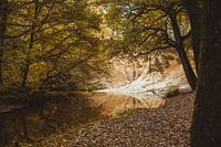 Neerbeek in der Nähe des Litsbergs im Leudal-Tal