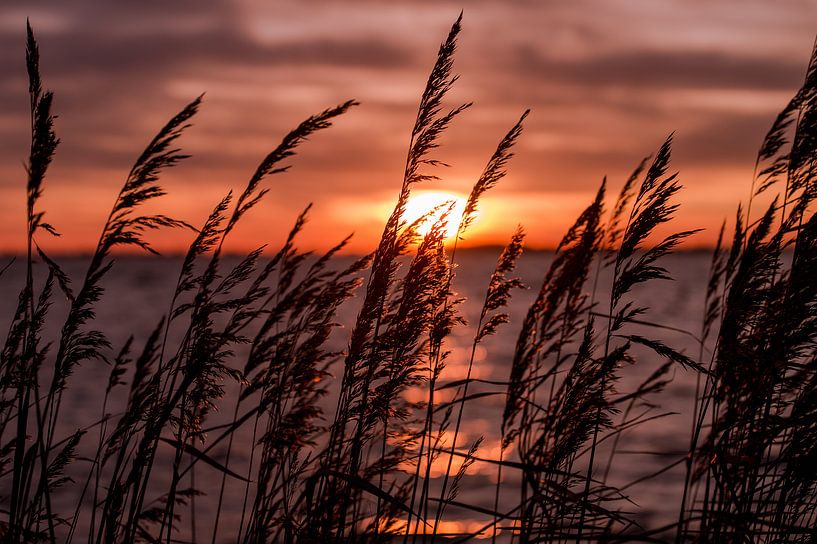 Winter Sonnenuntergang von Koen Hoekemeijer