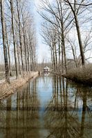 Spiel der Reflexion in Puyenbroek - Bäume und Wasser