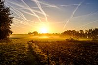 Morgenstond in Etten-Leur