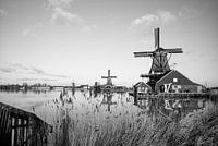 Zaanse Schans 2