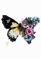 Butterfly Flower Drawing