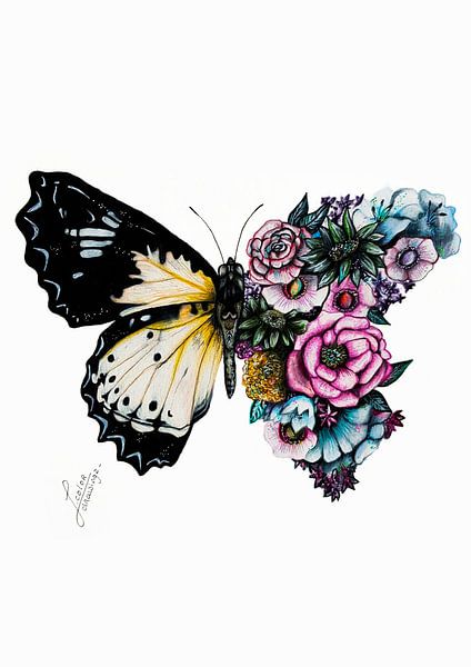 Butterfly Flower Drawing by J.colordrawingz_