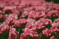 Tulip Field with Christian quote