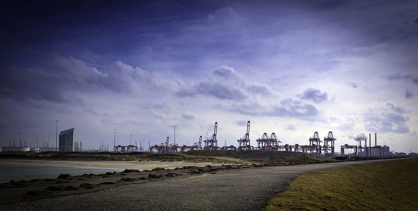 Die Maasvlakte von Nildo Scoop