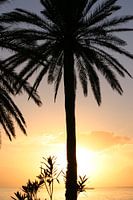 Coucher de soleil en Tunisie