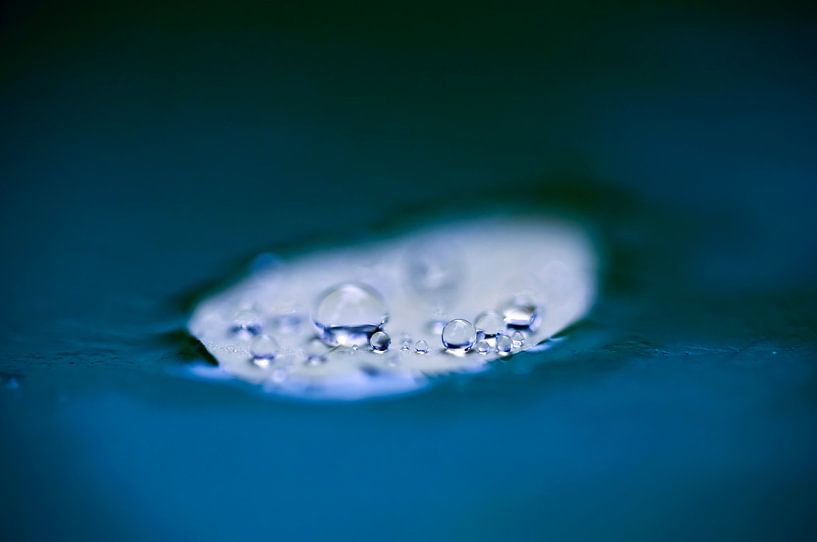 After the rain by Thomas Jäger