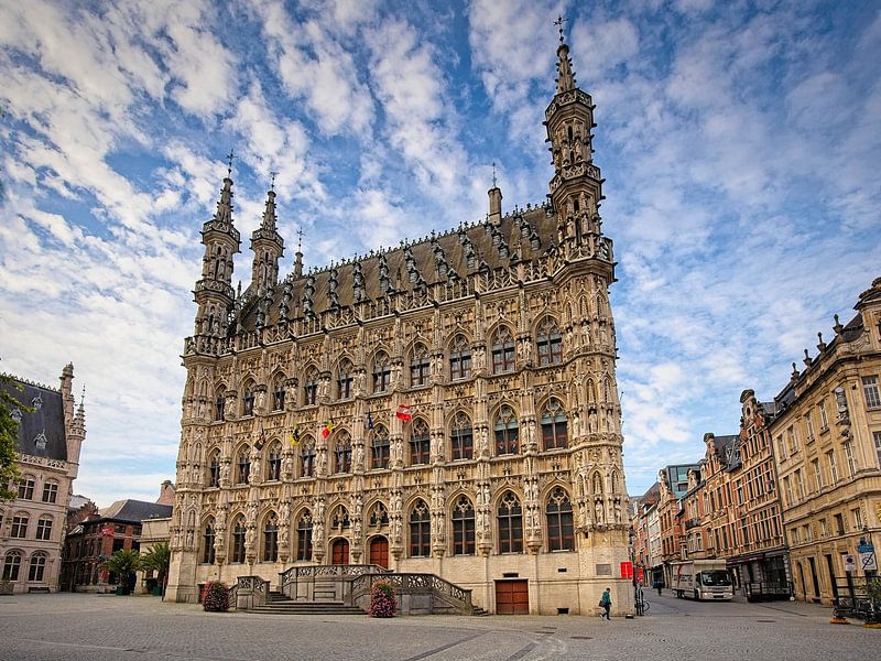 Rathaus von Leuven von Rob Boon