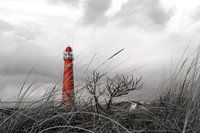 Leuchtturm (Nordturm) Schiermonnikoog hinter dem Dünengras (rot)