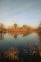 De Lindemolen te Diest 