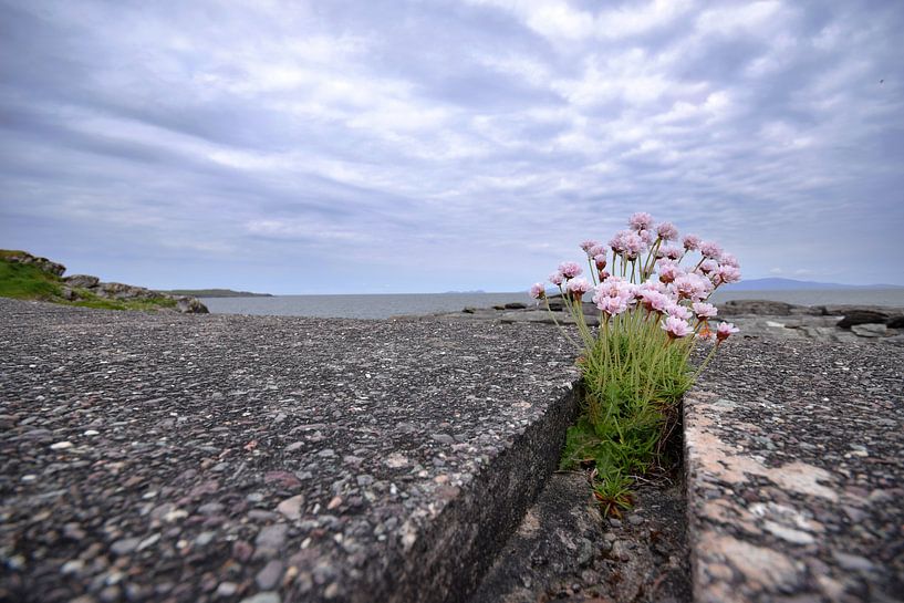 Overwinnaars von MarJamJars
