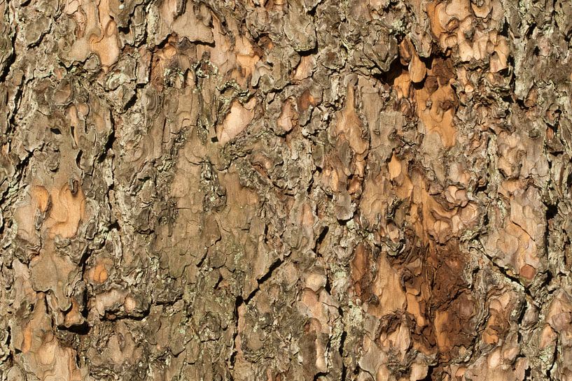 Boomschors houtdecor von Art Wittingen