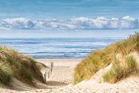 La plage, la mer et les dunes en été