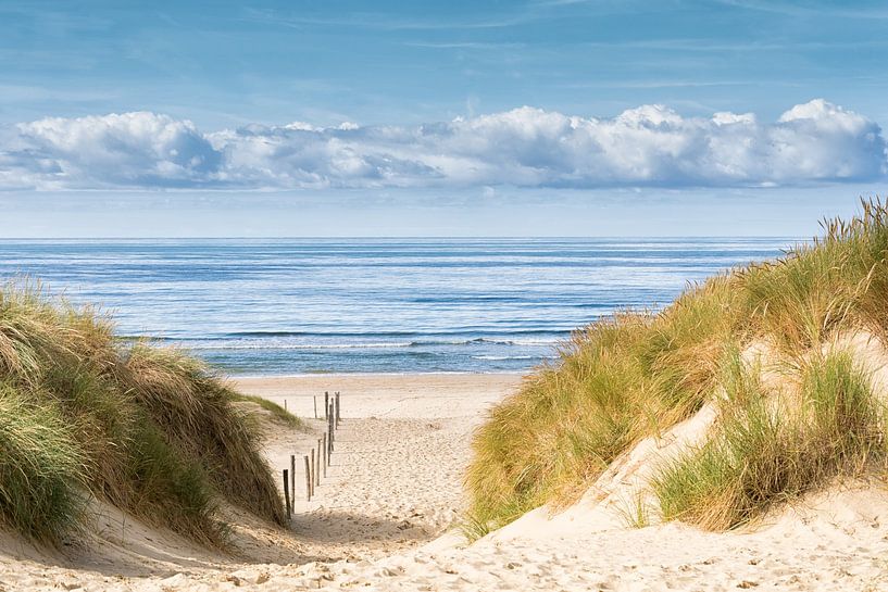 La plage, la mer et les dunes en été par Lisette Rijkers