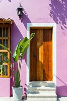 Pink house with palm tree in Cartagena Colombia