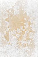 Organische Sandwand Abstraktes Foto