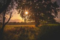 Het regent zonnestralen!