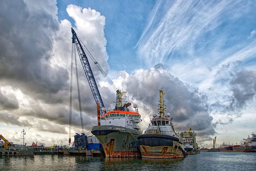 Der Waalhaven von Tilly Meijer