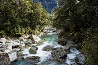 Schöner Fluss in Kanada