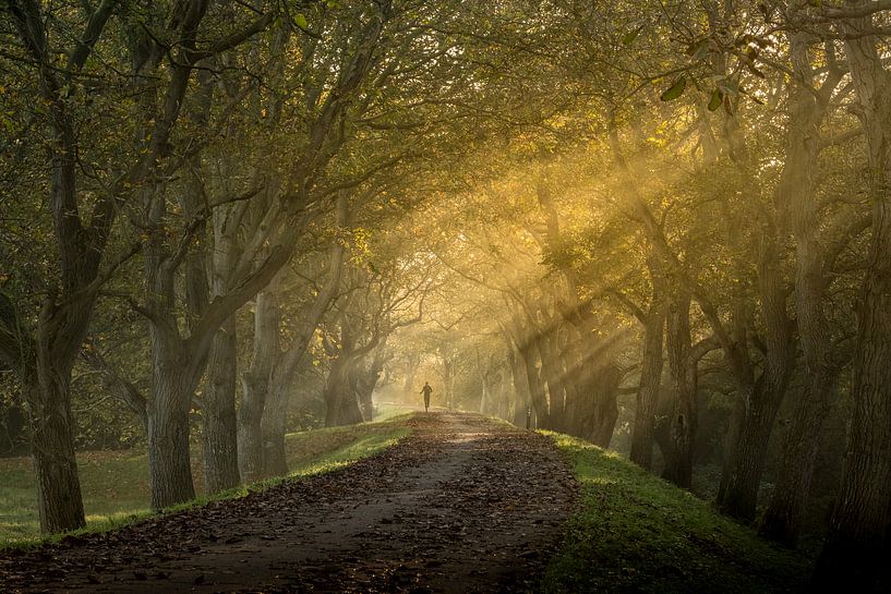 Lumière magique du matin par Moetwil en van Dijk - Fotografie