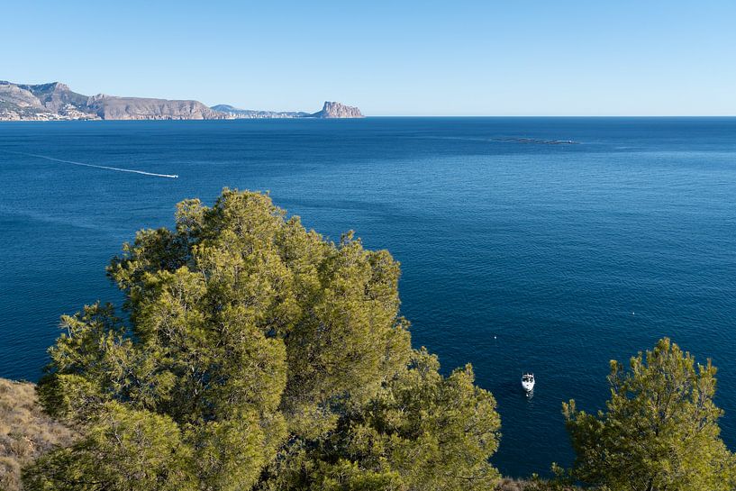 Pines, calm sea and distant mountains by Adriana Mueller