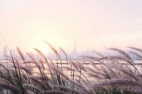 Dubai Skyline Sonnenuntergang