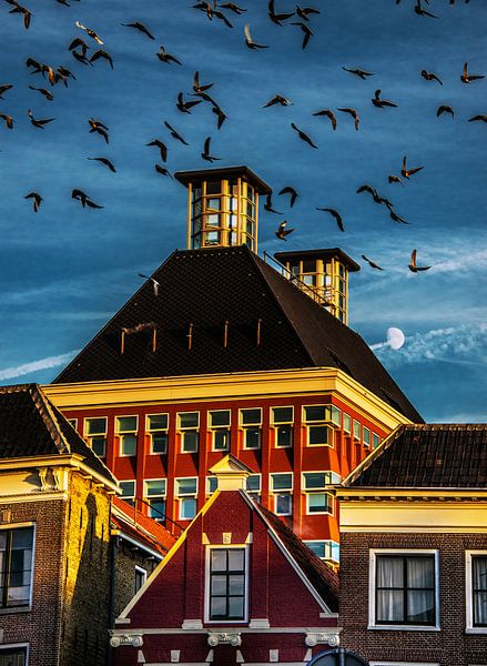 Bezirksamt von Harrie Muis