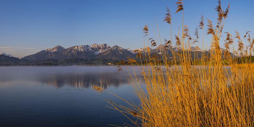 Hopfensee by Walter G. Allgöwer