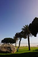 Camps Bay beach