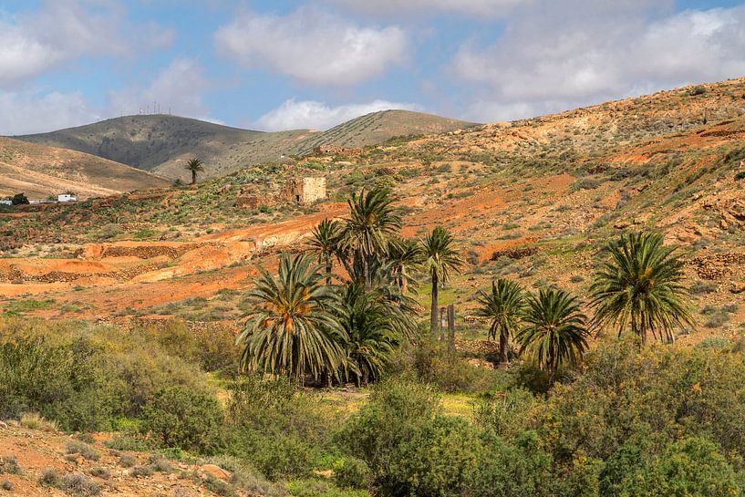 Vega de Río Palmas, Fuerteventura von Peter Schickert