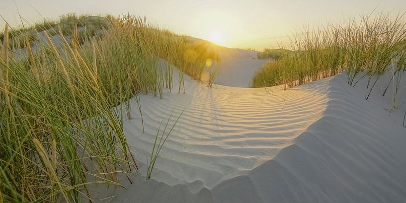 Sun's coming up! by Dirk van Egmond