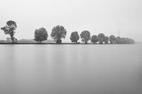 Rivière minimaliste