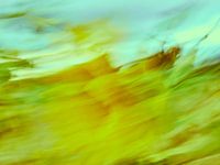 Sonnenblumen im Wind 2