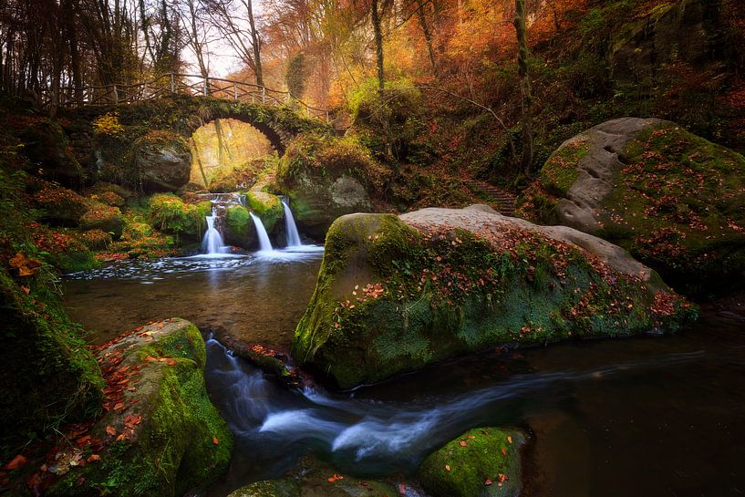 Mullerthal, Luxembourg par Sven Broeckx